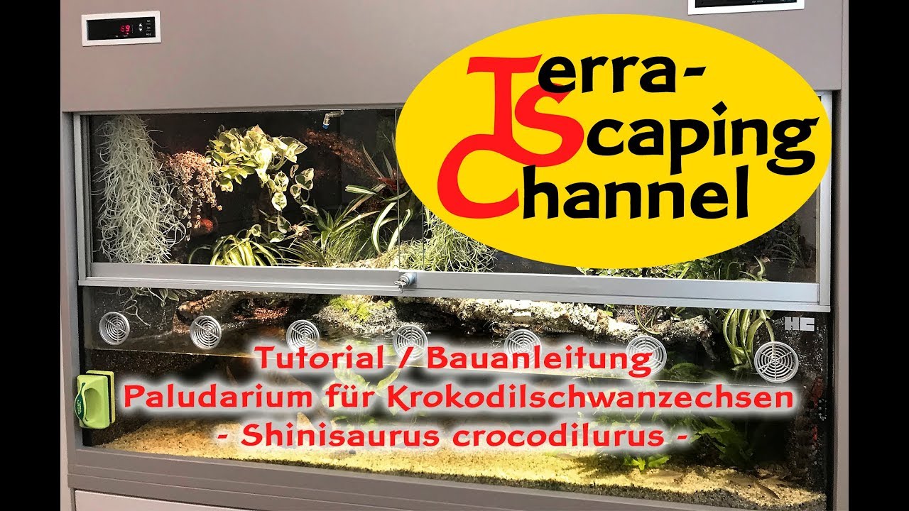 Terra-Scaping Channel: Paludarium f&uuml;r Krokodilschwanzechsen - Shinisaurus crocodilurus