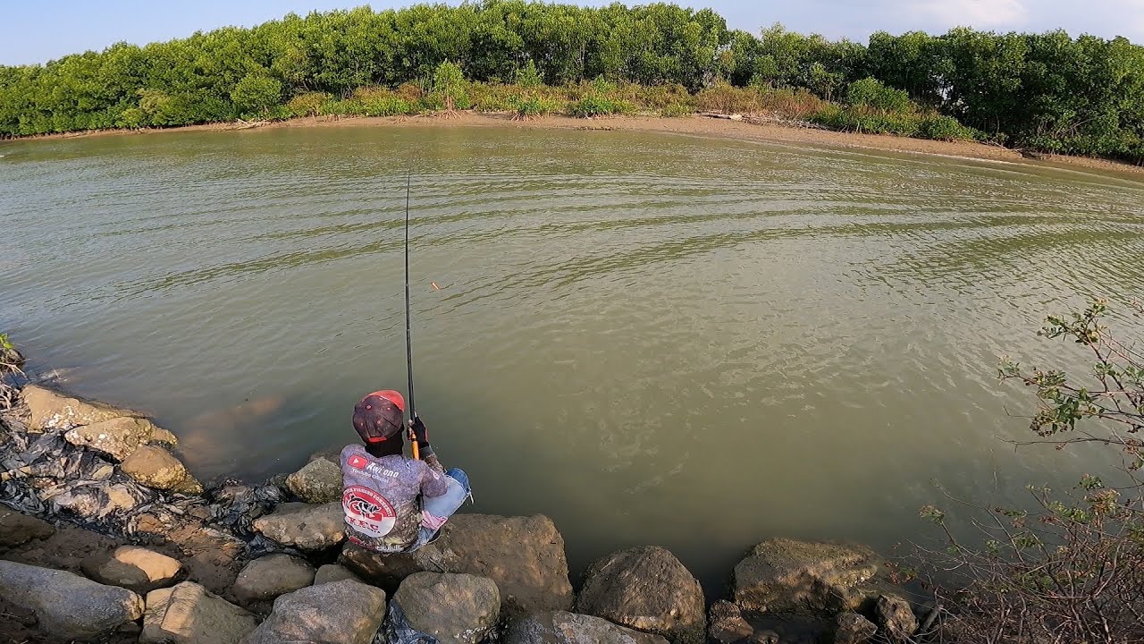 Cek Spot Mancing Belanak / Mullet Fushing, Di Sungai Layur Lasem : Fun Fishing Trip