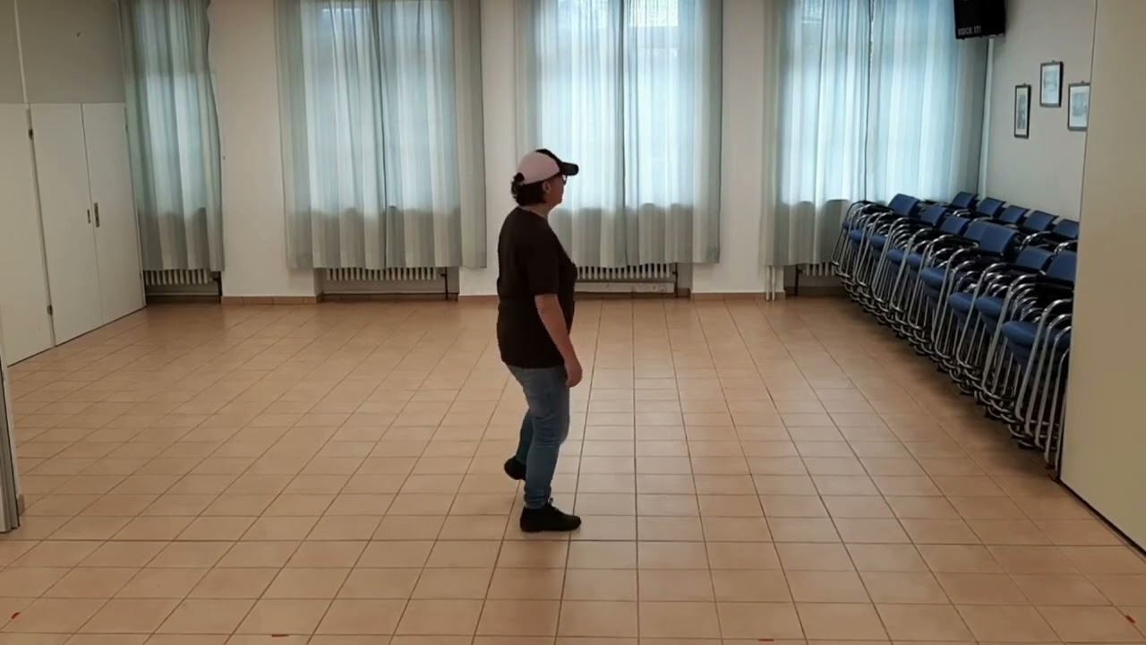 Summer Fly Lernvideo Teach & Dance Line Dance Biene Teil 1