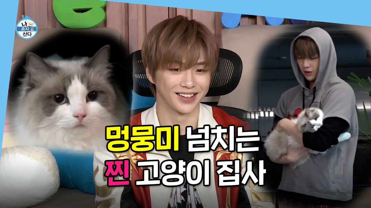 [주간 예능연구소] 나 혼자 산다 🐶멍뭉미 넘치는 😻고양이 집사 강다니엘/전지적 참견 시점/놀면 뭐하니? | 예능 TOP 3 모아보기 MBC 210424 등 방송