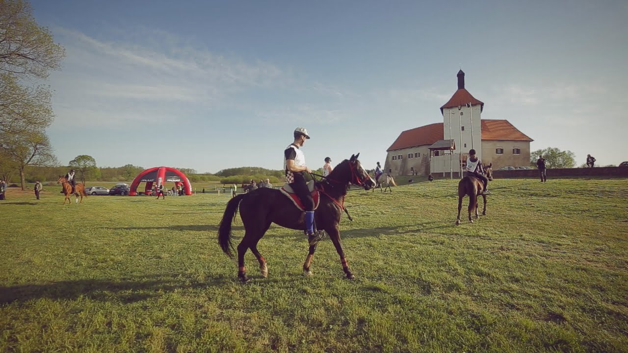 Utrka Croatia cupa u daljinskom jahanju - Đurđevac