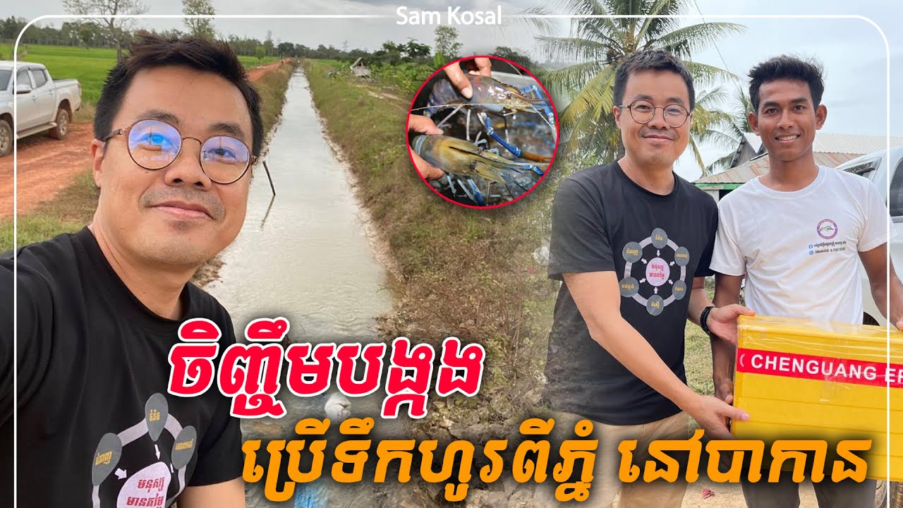 យុវជនម្នាក់នេះបោះបង់ប្រាក់ខែខ្ទង់ពាន់ $ មកចិញ្ចឹមបង្កងអូស្រ្តាលីឥទ្បូវបានផលហើយ