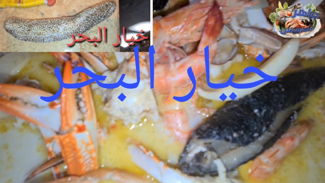 خيار البحر مع الشيف:أحمدشعرة وشوربة سي فود الجمبري والسبيط والكابوريا. الفسفور العالي .