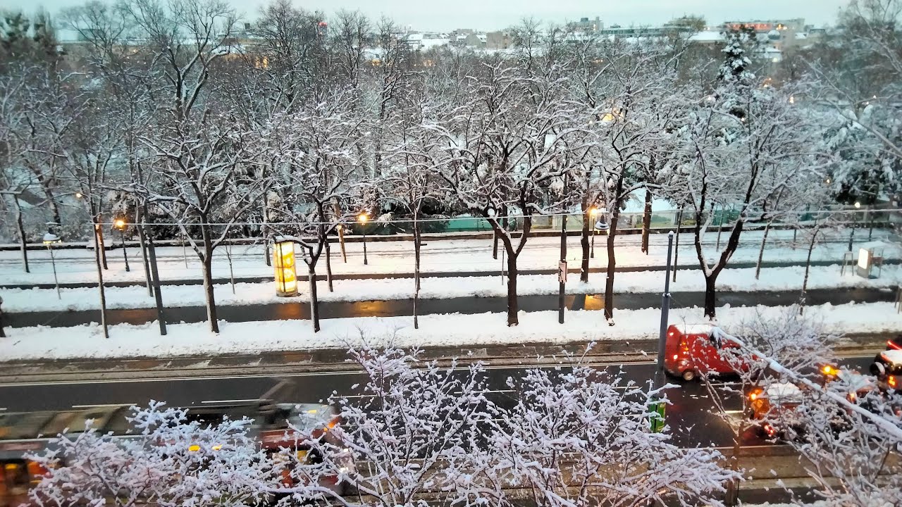 Snowfall #winter #snow #snowfall