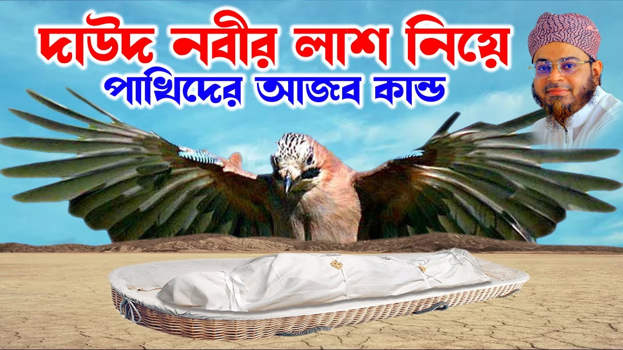 মুফতি নাসির উদ্দিন আনসারী । mufti nasir uddin ansari |  দাউদ নবীর লাশ নিয়ে পাখিদের কান্ড। dhaka tv