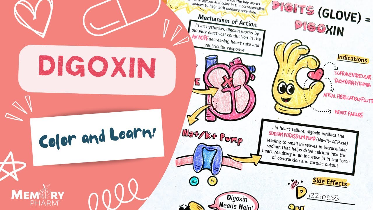 Digoxin Made Easy (Mnemonics, Mechanism of Action, Side Effects, Counseling)