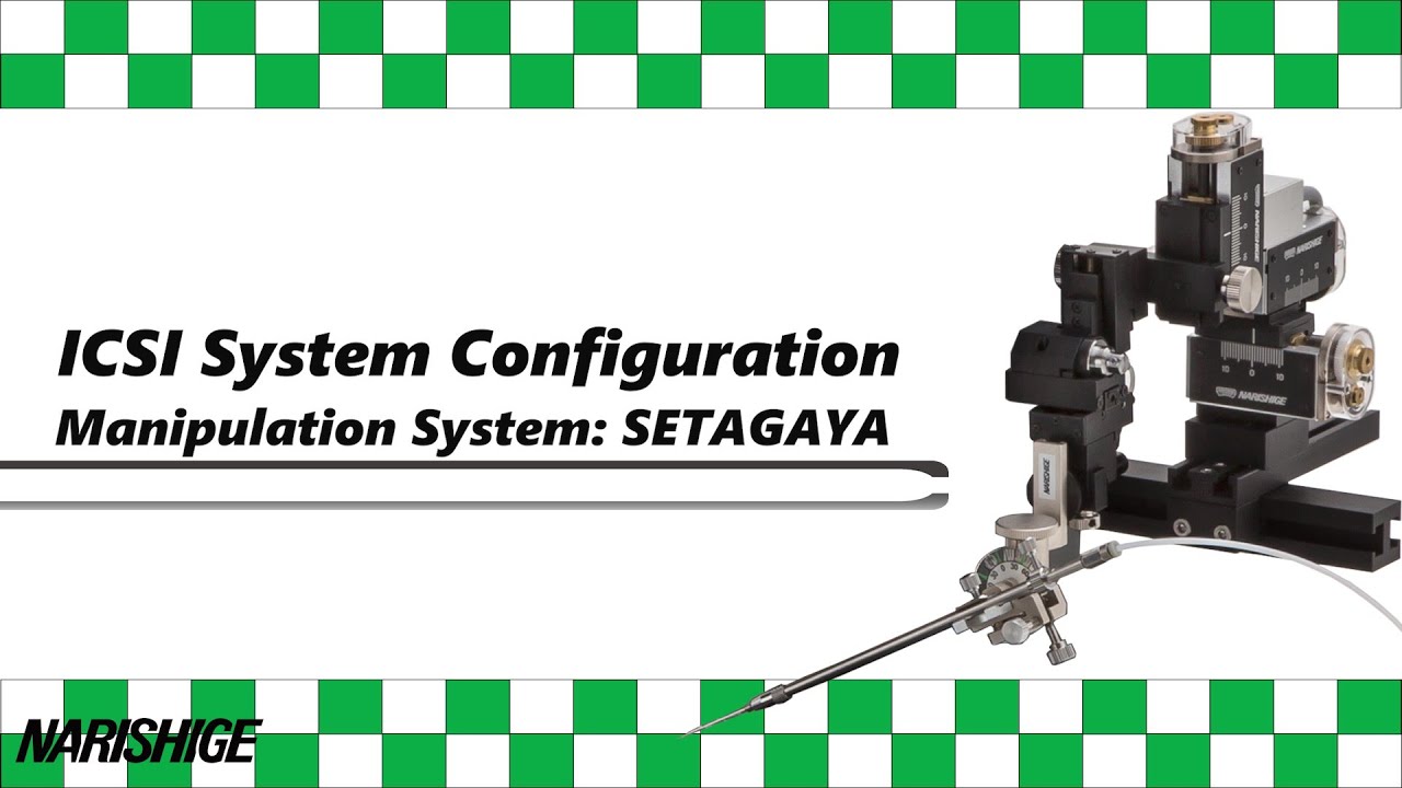 ICSI System Configuration