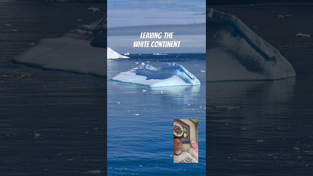 Final Day in Antarctica: Icebergs, Penguins & Our Last Whale Encounters