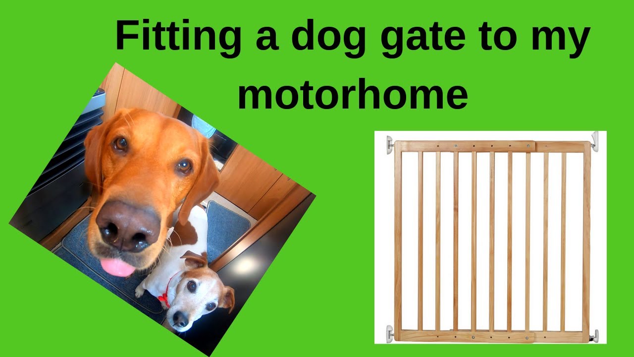 Travelling with Dogs in a Motorhome - fitting a dog gate
