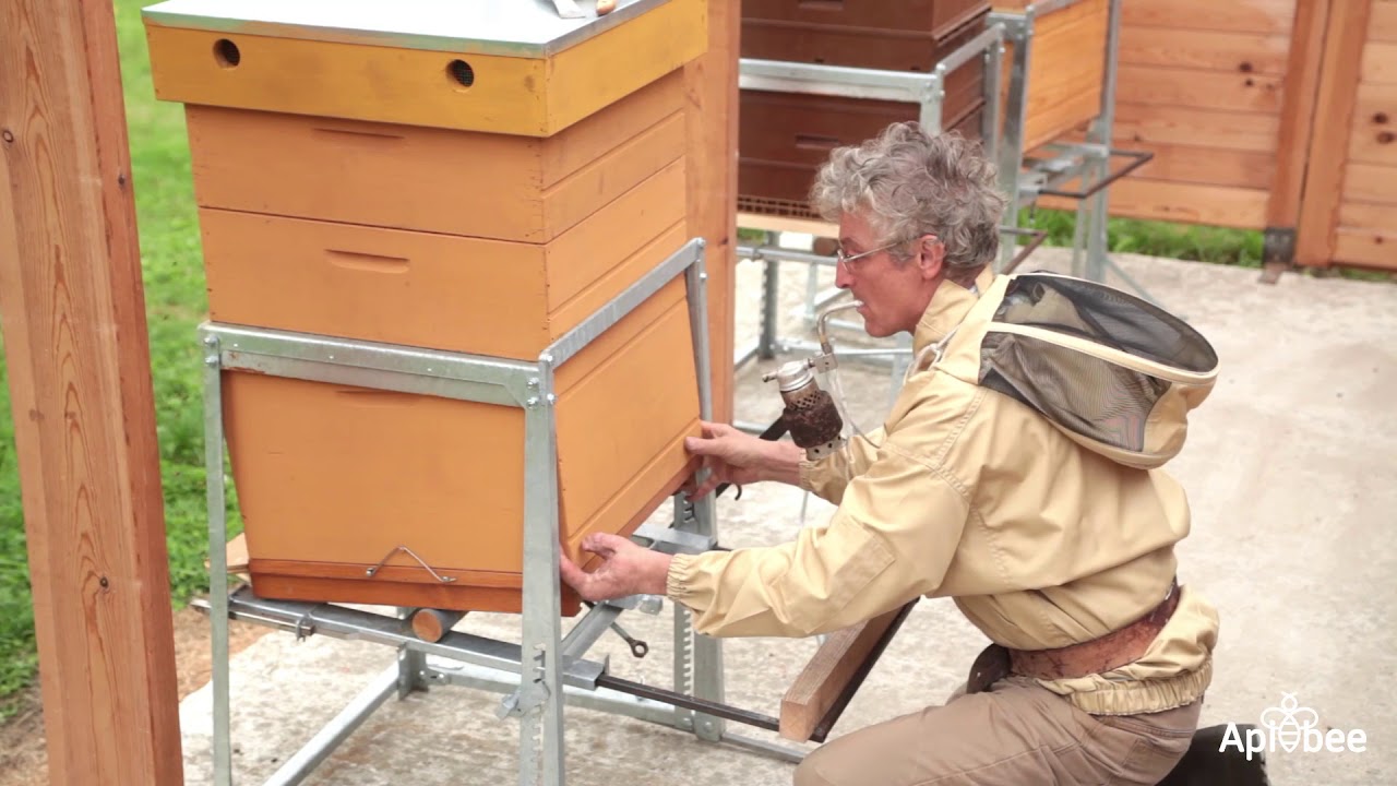 Utilisation de l'Ergonomiel dans le rucher