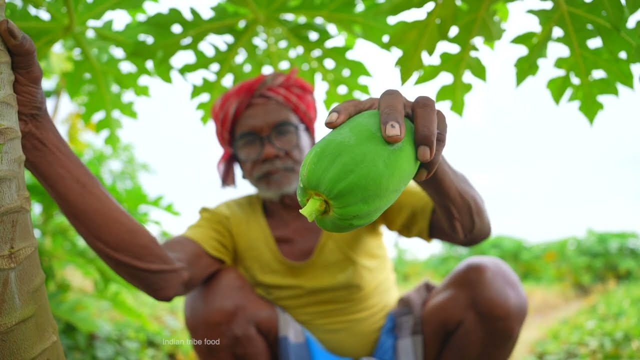 Papaya liver curry | farm fresh papaya collecting and cooking with chicken liver | Indian tribe food