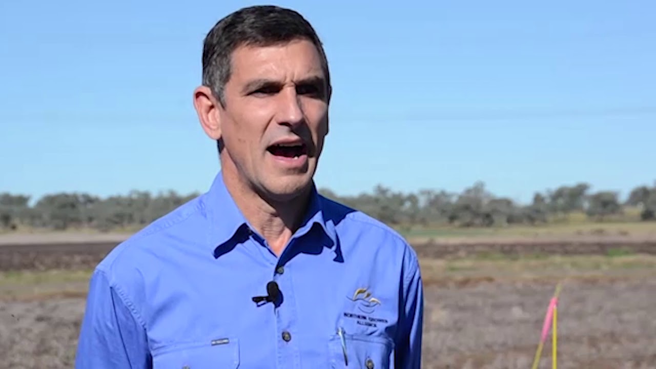 How does nitrogen increase protein and yield in your wheat crop? - R.Daniel | 2018 Know More | North