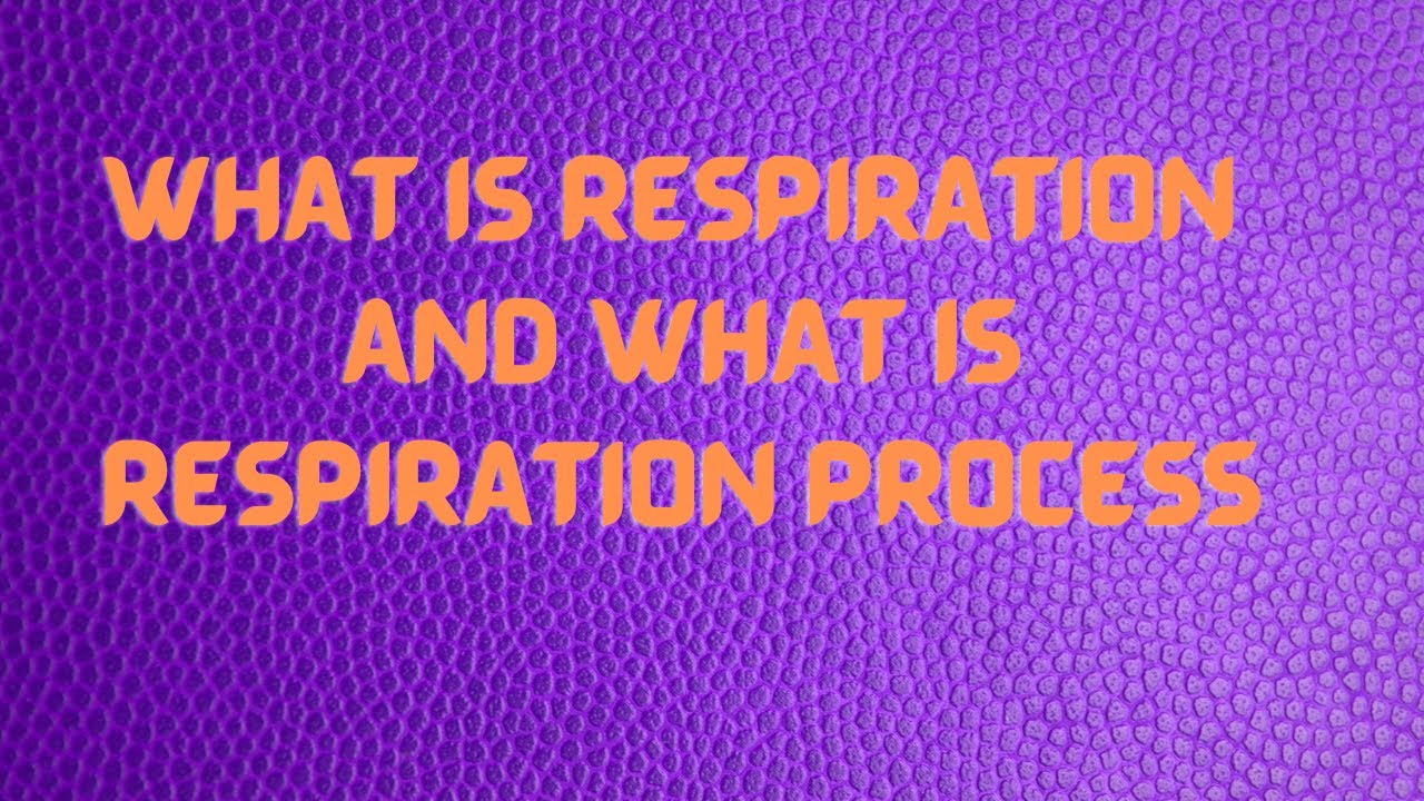What is Respiration and what is Respiration Process ?