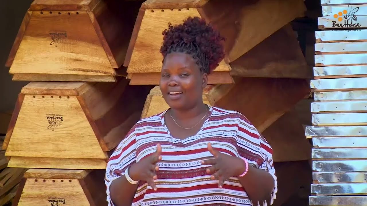 Inside Uganda’s Best Beekeeping & Honey Farming