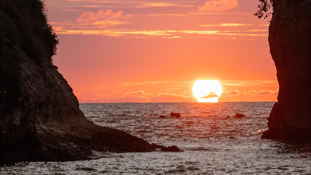 Puerto Vallarta 2025 pt2