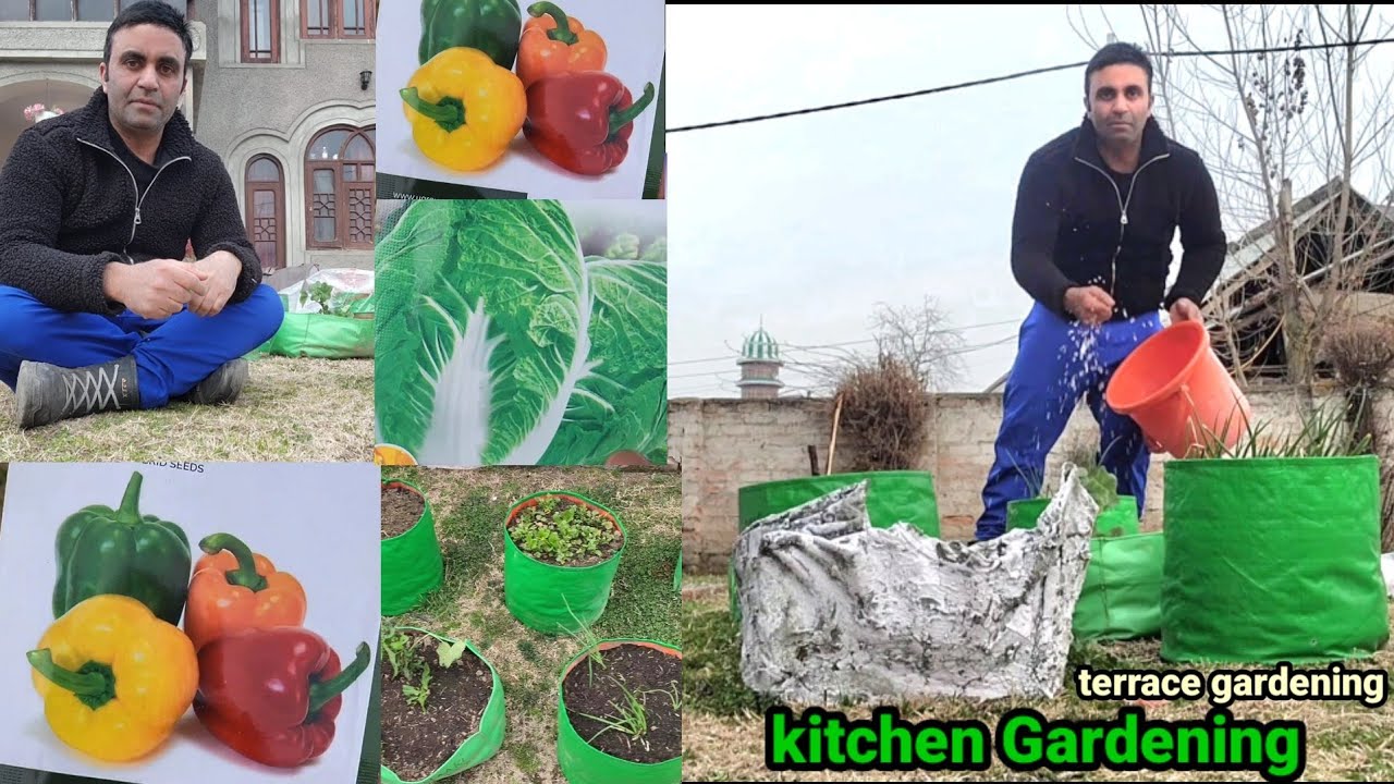 Seeds Lagane Ka Time Aagaya | Kitchen Gardening Tips | Polybags
