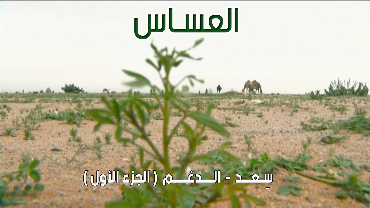 برنامج العساس | سِعــد - الــدغــم  24-4-1435هـ ( الجزء الأول )
