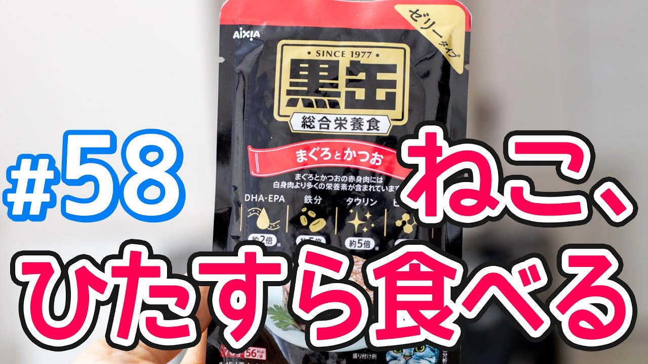 アイシア黒缶 総合栄養食 まぐろとかつお