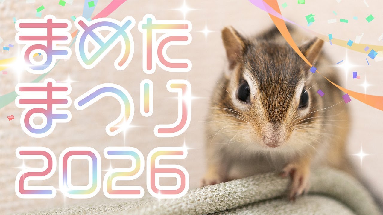 【8歳】まめたまつり2026【誕生日】