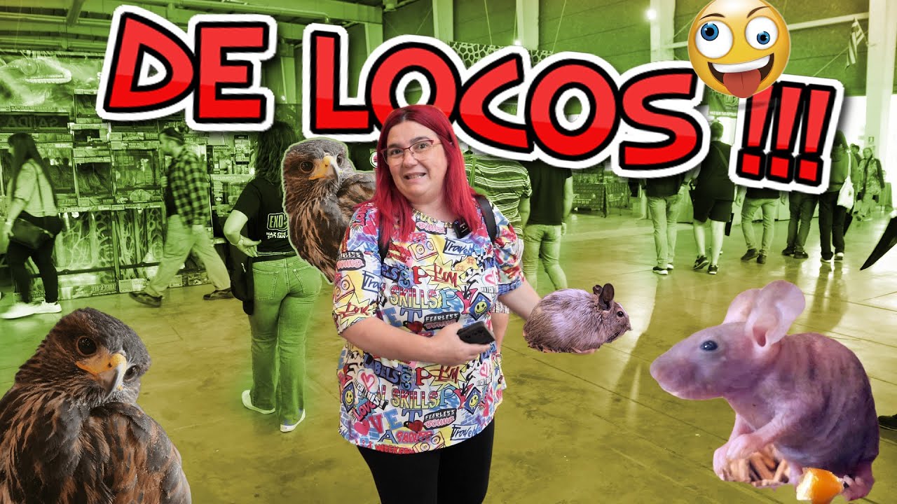 🦅​🦎​🐾AVENTURA en la FERIA​🦜​🐍​🐢​🕷️​ Talavera de la Reina 2024 - Expoterraria