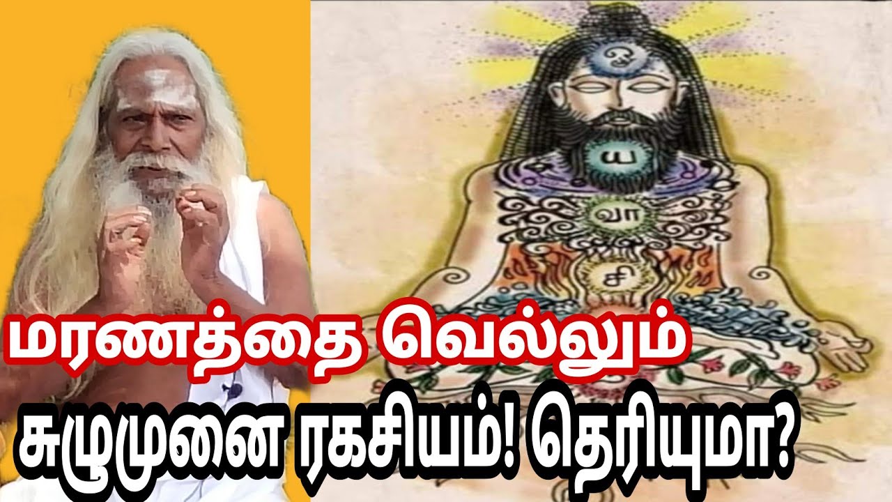 மரணத்தை வெல்லும் சுழுமுனை ரகசியம்! தெரியுமா?