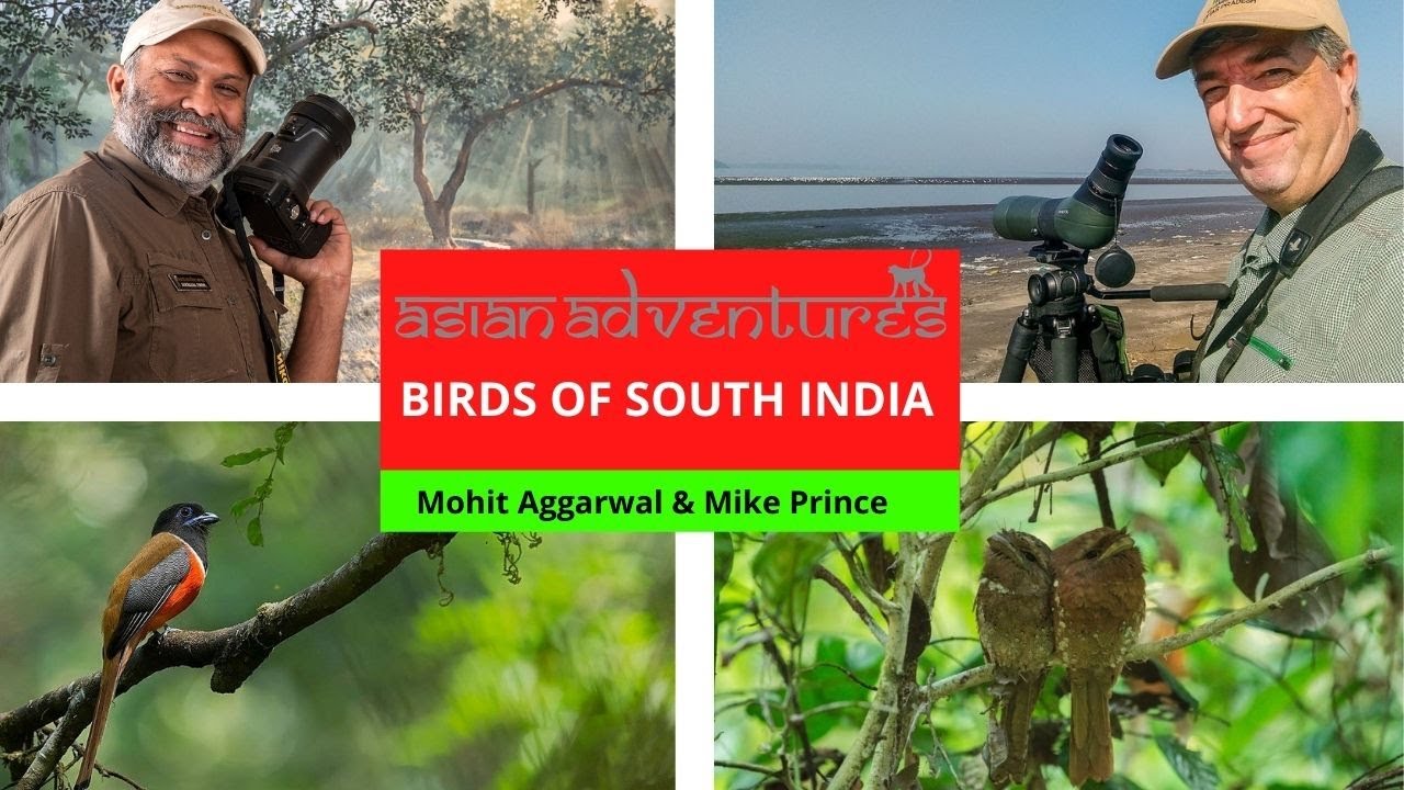 Birds Of South India With Mohit Aggarwal And Mike Prince