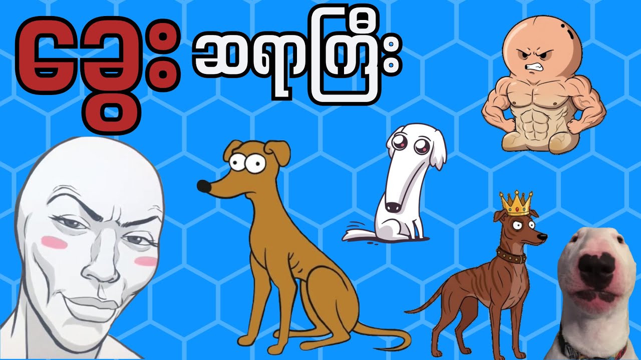 သင်လမ်းဘေးခွေး ဖြစ်သောအခါ - Life as a stray dog
