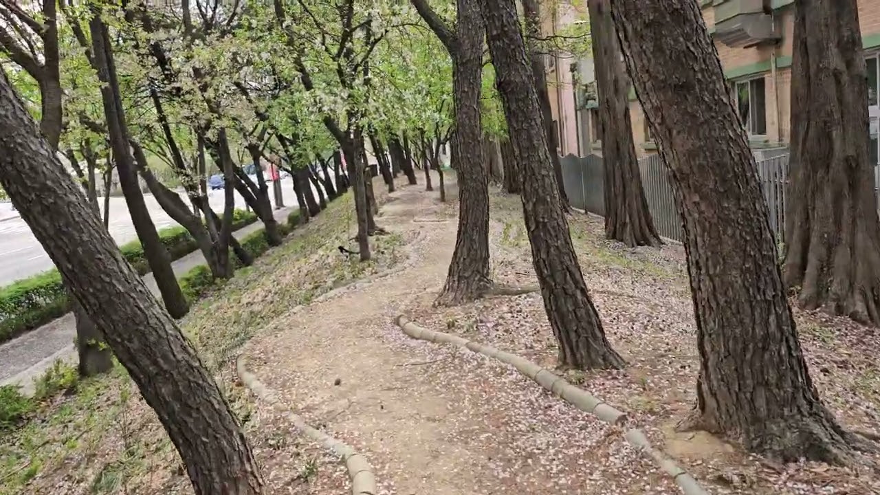 2025.04.17(목) 서부천 둘레길 꽃 비가 내리는 길을 걸으면서 삶과 인생에 대해서 소회를 나누어 봅니다.