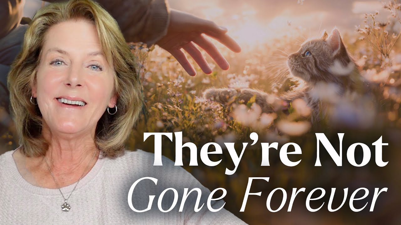 Healing Your Heart After Pet Loss: Does Letting Go Feel Like Losing Them Forever?