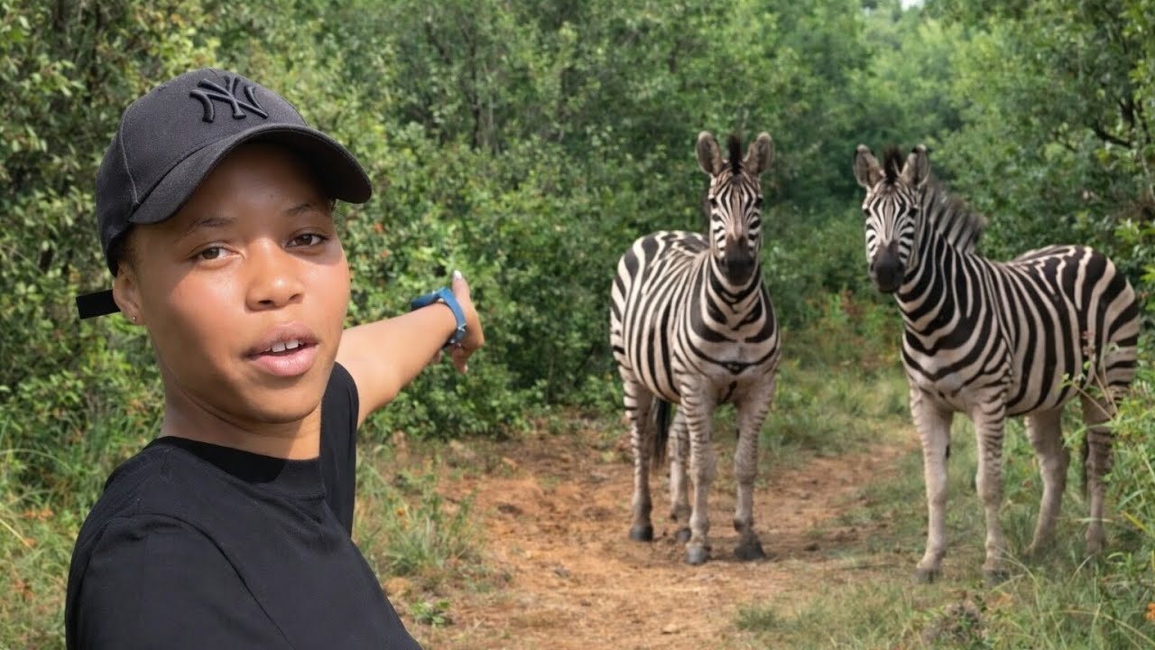 I solo hiked 10.5km at Groenkloof