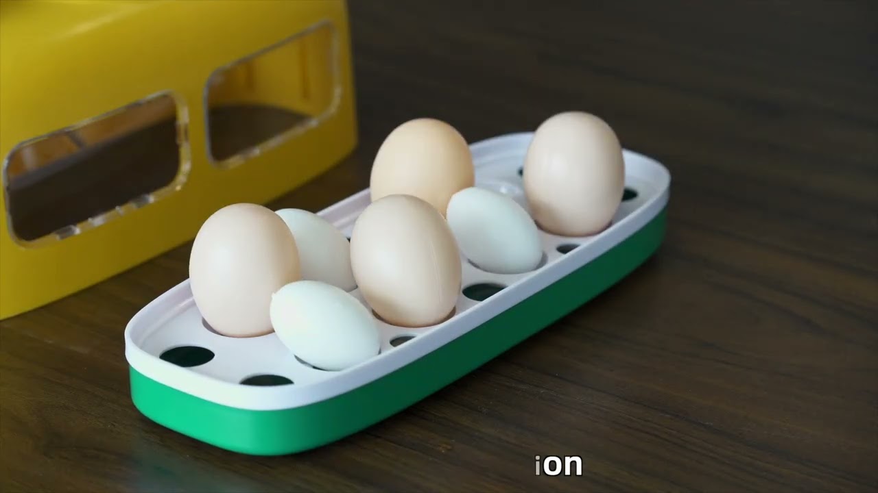 iBought Wonegg LT-8 Broedmachine