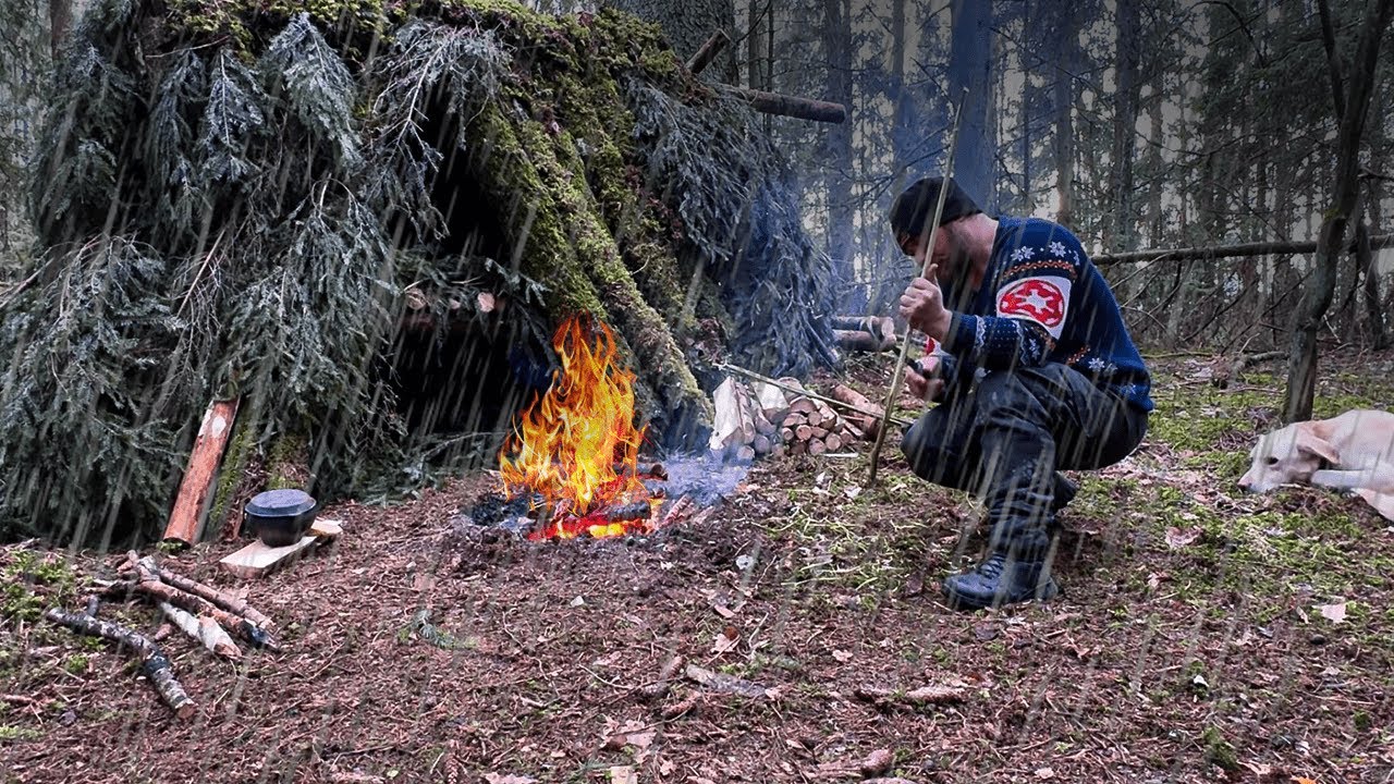 TRAVELING THROUGH THE FOREST WITH A DOG. RELIABLE SHELTER FROM WIND, RAIN AND COLD