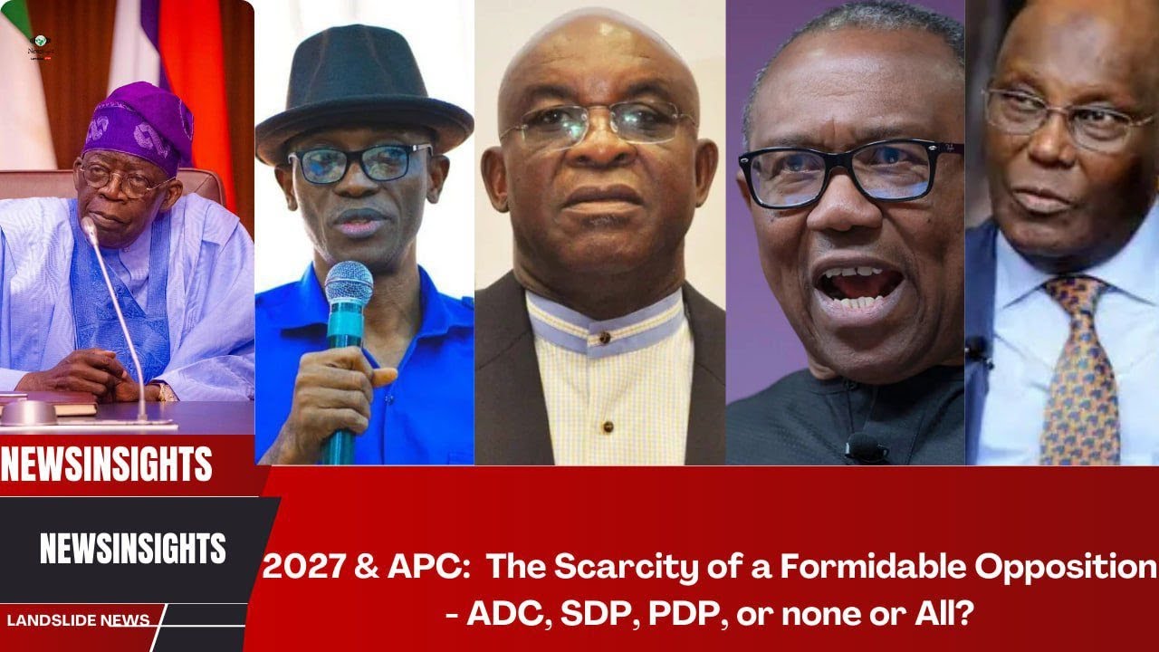 2027 & APC:  The Scarcity of a Formidable Opposition - ADC, SDP, PDP, or none or All?