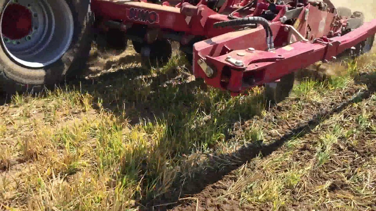 Sejačka - Sumo DTS 6 - sejba repky po jačmeni - Land Technologies