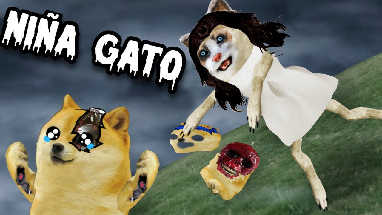 LA EXTRAÑA NIÑA GATO, ESO NO ES UN ANIMAL CORRE! - Hilos con cheems