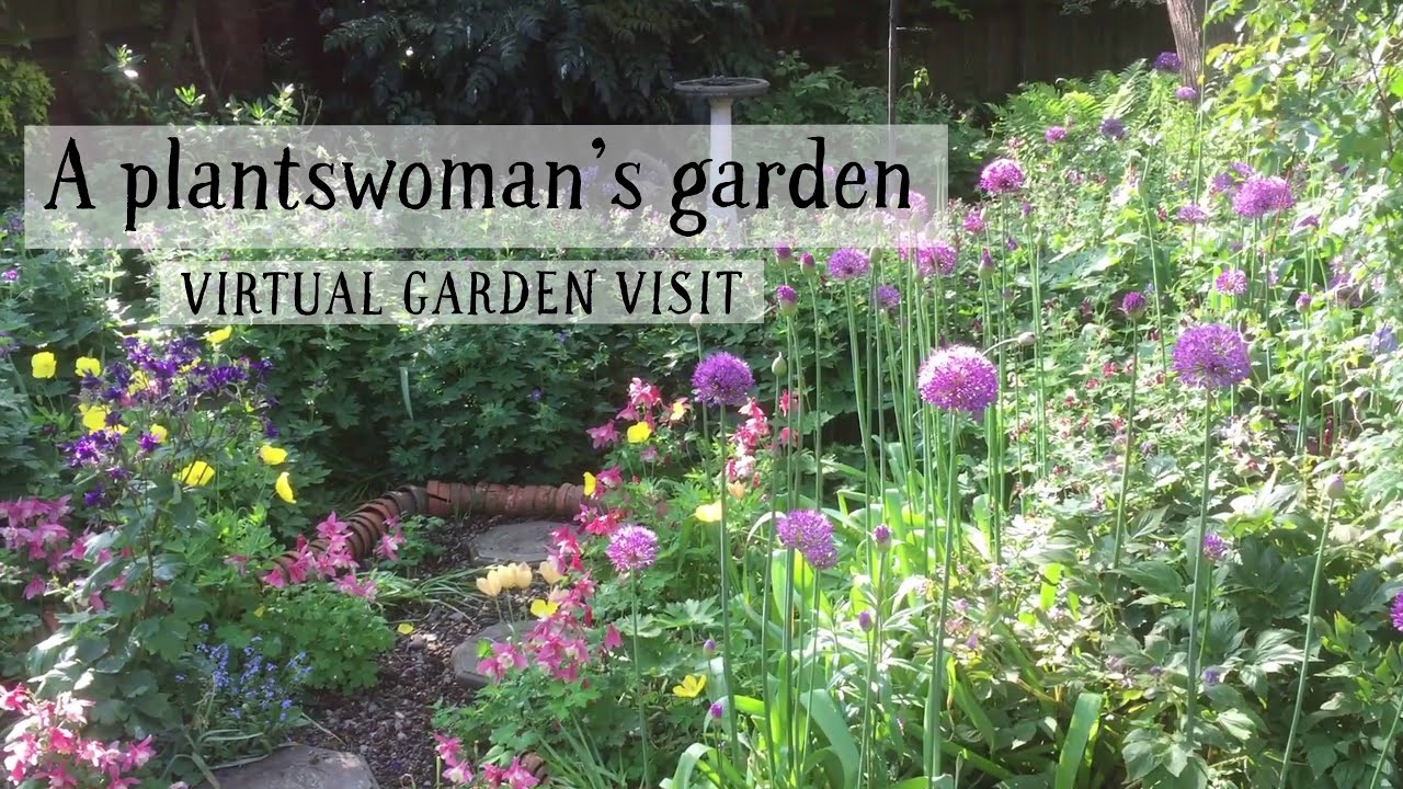 Pooh Corner, Shropshire: a plantswoman's garden