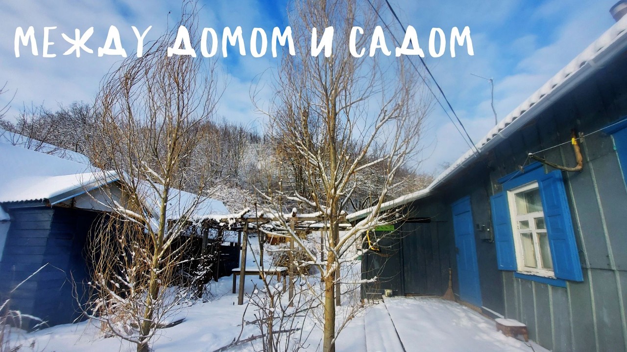 между домом и садом