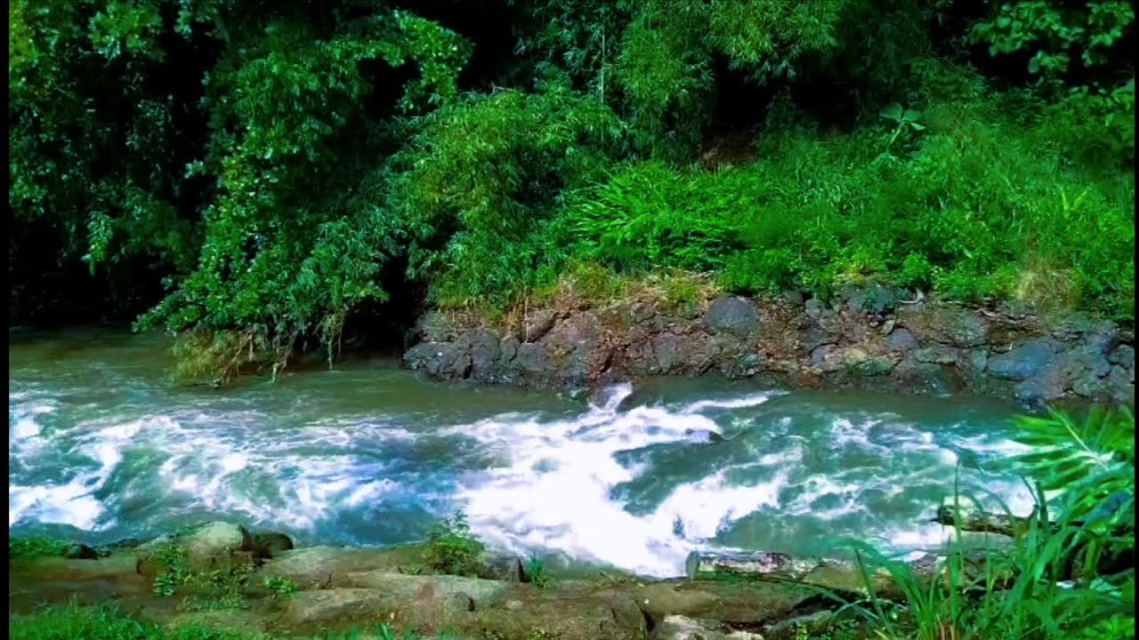 Relaxing River Sound calm water for sleep, stress relief, for yoga, for meditation