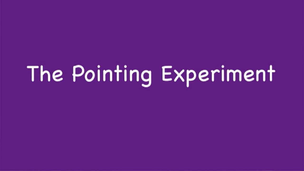 Pointing Experiment