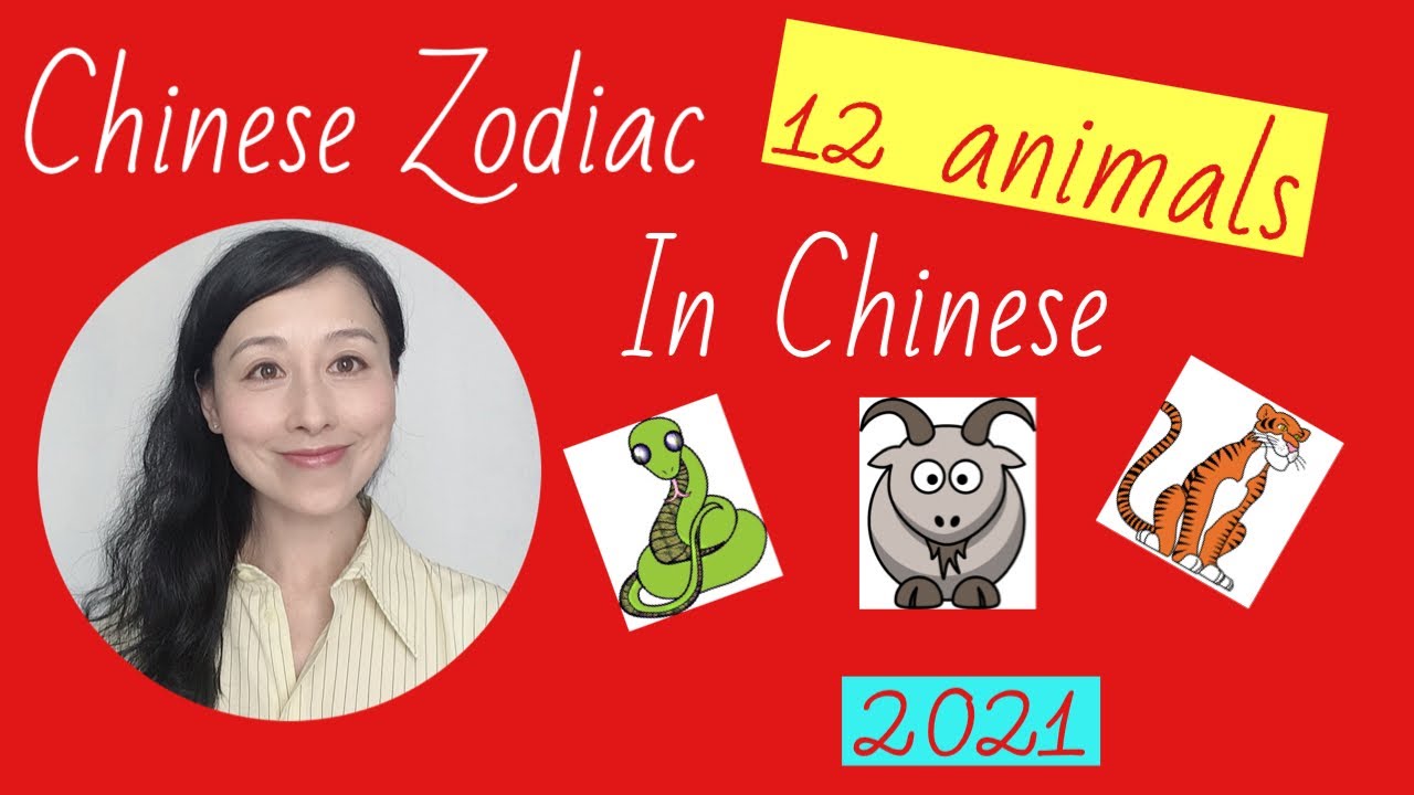 Chinese Zodiac Animals Signs| Learn how to say Chinese Zodiac Signs| 12 animals in Chinese