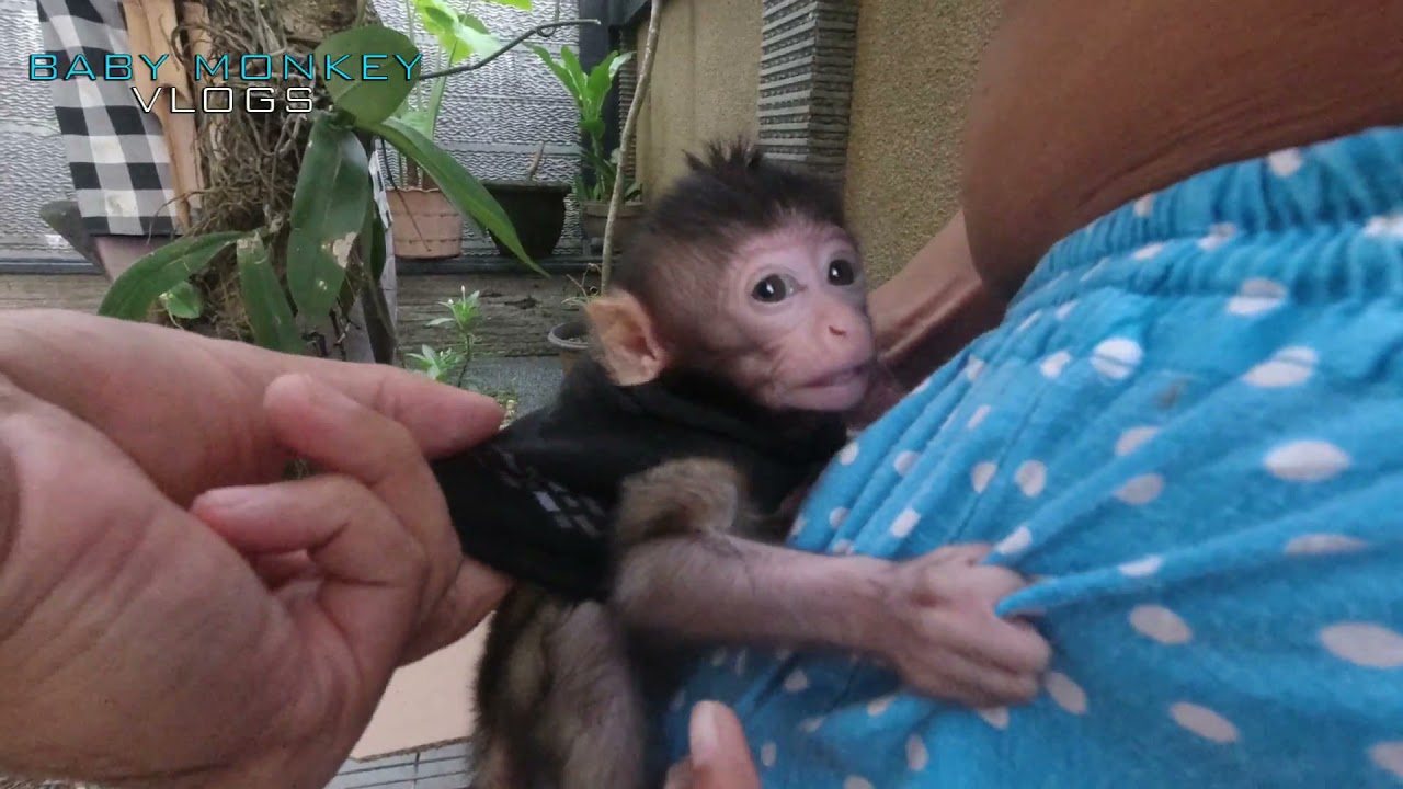 THIS IS HOW WE CHANGE TINY CLOTH OF BABY MOCA, WELL TINY FEELS SOPHISTICATED