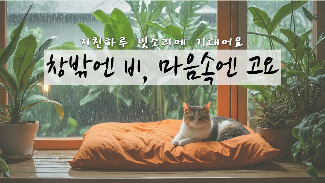2시간 연속, 마음의 힐링, 창밖으로 쏟아지는 빗소리를 들으며 마음의 휴식을 청하세요.ㅣ백색소음ㅣ빗소리ㅣ힐링ㅣ마음휴식ㅣ수면ㅣ공부할때