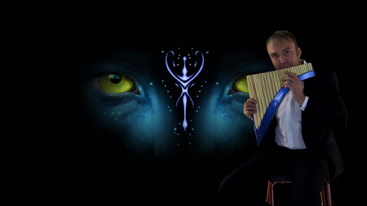 Theme Song From Avatar performed by Hendrik Brits Panflute Artise
