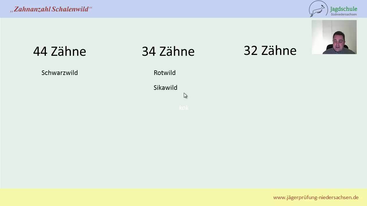 J&auml;gerpr&uuml;fung Niedersachsen Zahnanzahl Schalenwild