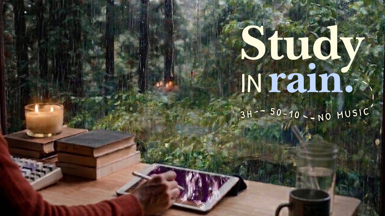 3 HOUR STUDY WITH ME 🌧️ / Rainy Day In The Forest 🍃🐿️ / Pomodoro 50-10 / Rain Sounds / No Music