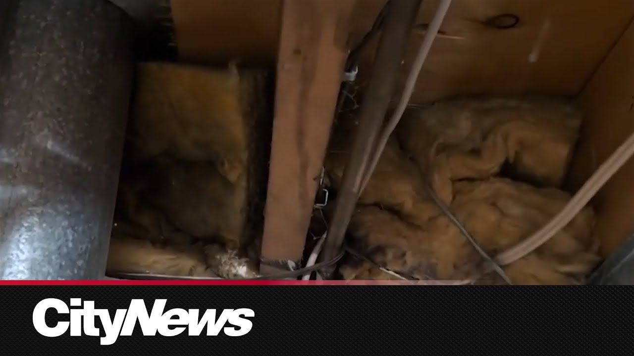 Water pipe problems surge as deep freeze lingers