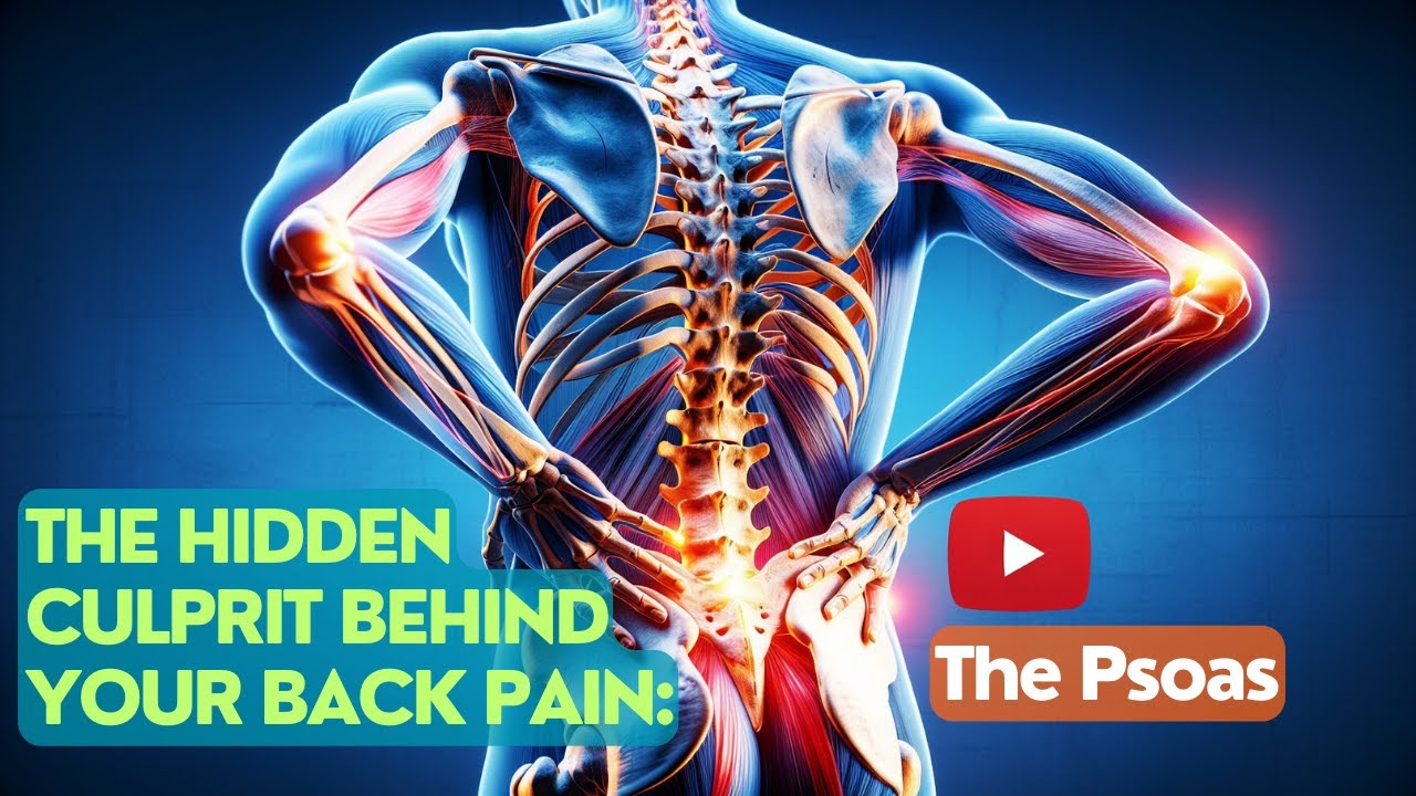 The Hidden Culprit Behind Your Back Pain: The Psoas