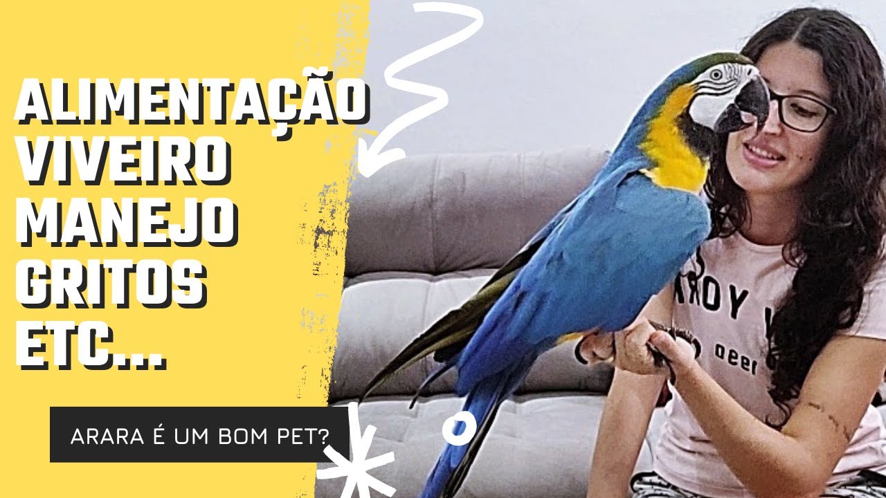 TUDO SOBRE ARARA CANINDÉ - UDP
