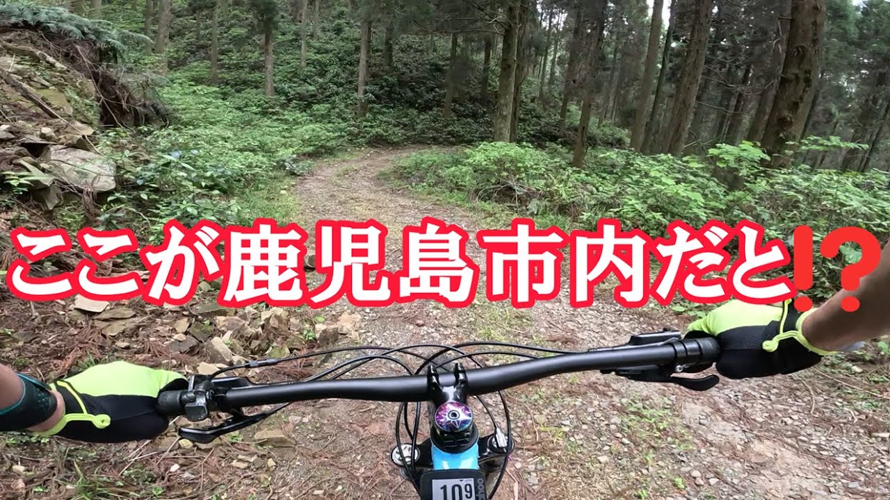 【MTB】鹿児島市内にある林道を下ってみる【TREK MARLIN】