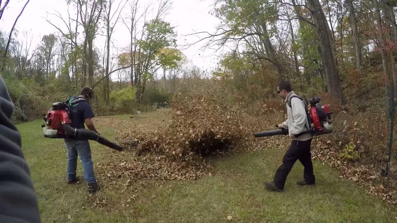 Little Wonder Blower
